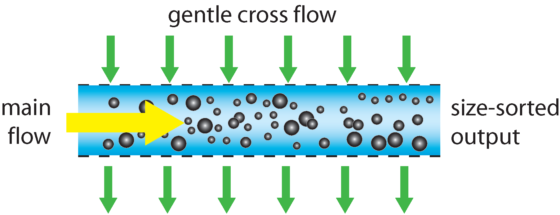 field flow fractionation