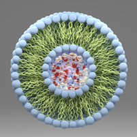 liposome LNP nanoparticles