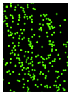 nanoparticles