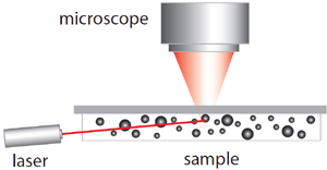 NTA particle size analysis