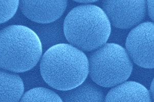 SEM image of nanoparticles